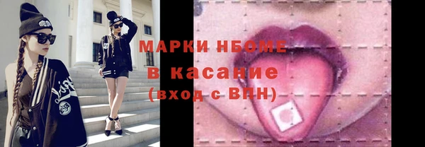 твердый Слюдянка