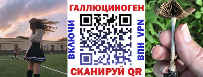 наркошоп  Волгоград  Псилоцибиновые грибы мицелий 