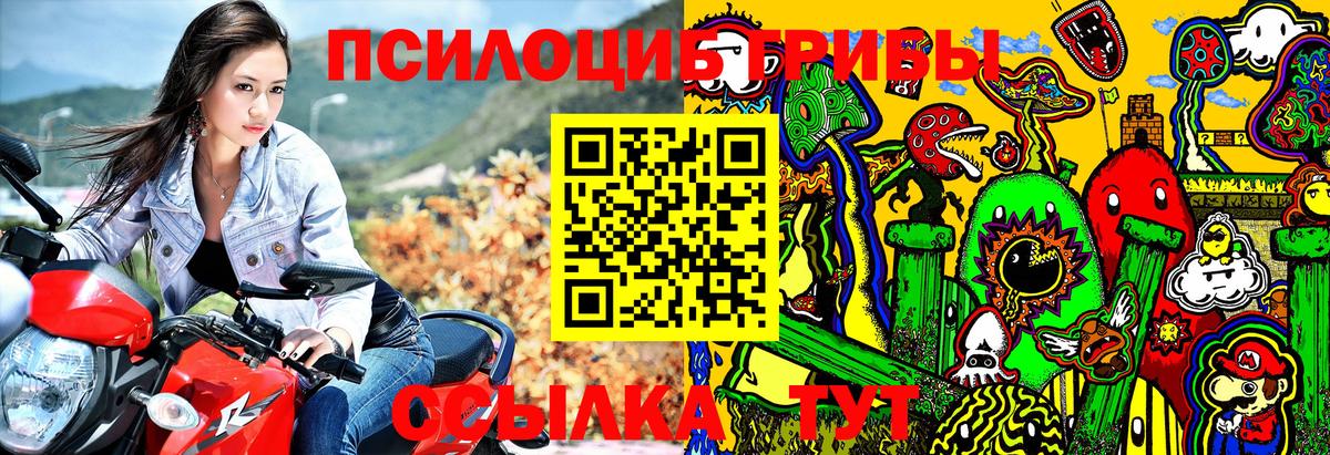 Галлюциногенные грибы Psilocybe  Вход с VPN  Волгоград 