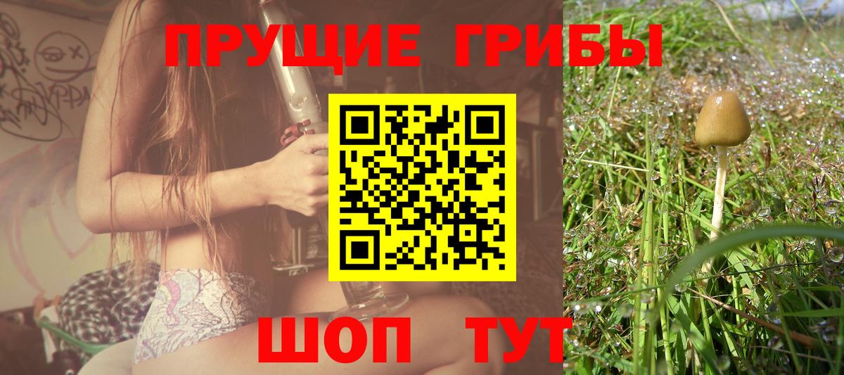 Галлюциногенные грибы Magic Shrooms Волгоград